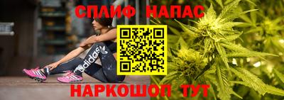 прущий лед Будённовск