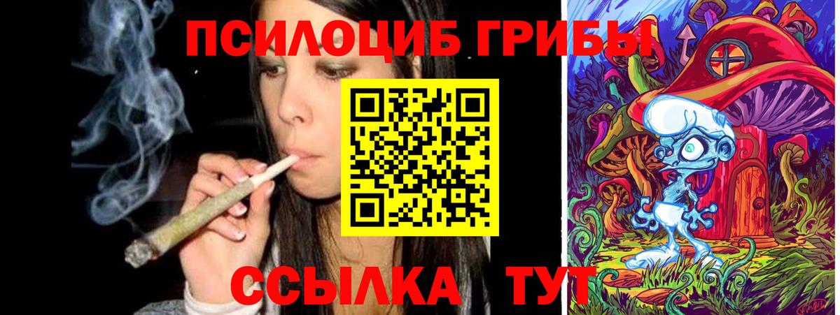 Галлюциногенные грибы Cubensis Волхов